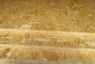 WBP Glue OSB Board Water Resistant , Home Decoration OSB Wood Panels 9-30mm
