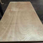 Trung Quốc BB Lớp Okoume Tấm gỗ cứng 2 lần Báo chí nóng Một mặt Trang trí Veneer gỗ Công ty