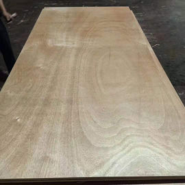 Trung Quốc BB Lớp Okoume Tấm gỗ cứng 2 lần Báo chí nóng Một mặt Trang trí Veneer gỗ nhà máy sản xuất